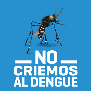 Salud dengue 